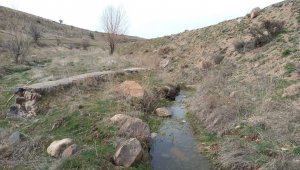 Develili bağcılardan Vali'ye mektup