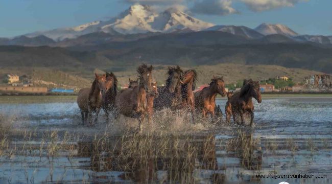 Hürmetçi Sazlığı, Türkiye'nin gözde turizm mekanı olacak