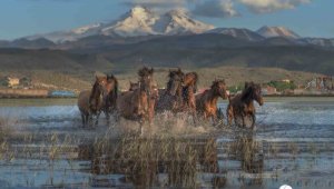 Hürmetçi Sazlığı, Türkiye'nin gözde turizm mekanı olacak