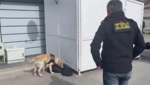 Kayseri'de uyuşturucu operasyonları: 21 tutuklama