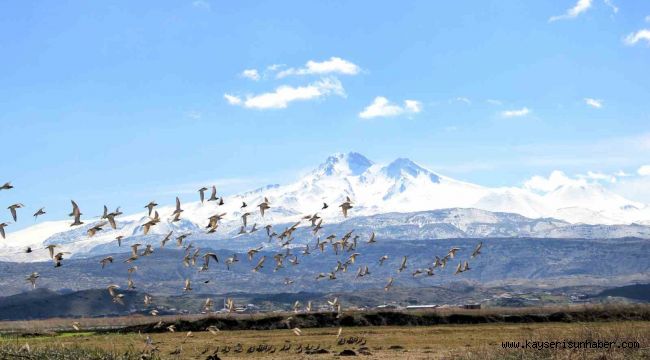 Kayseri'nin doğal kuş cenneti baharı müjdeliyor