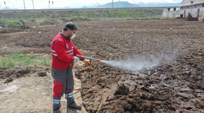 Kocasinan'dan huzurlu bir yaz için haşere ile mücadele