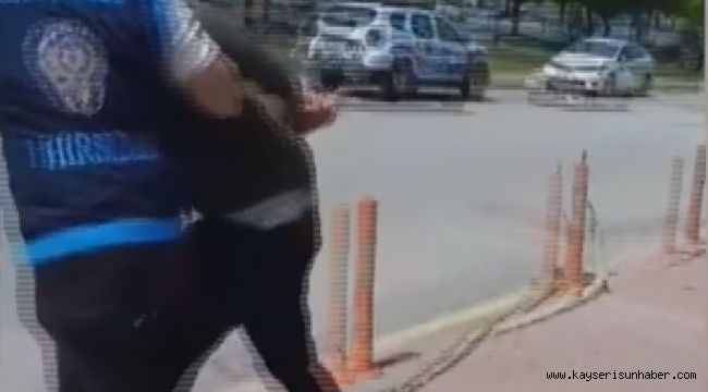 Ev fareleri 81 saatlik kamera kaydı ile yakalandı