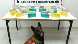 Yolcu otobüsünde faturasız elektronik sigara kartuşu ele geçirildi