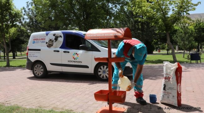 Kocasinan'da küçük dostlar için büyük hassasiyet