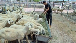"Kayseri'de bir numara Talas Belediyesi"