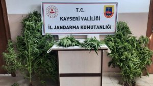 Jandarma Kayseri'de uyuşturucuya geçit vermiyor