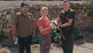 Yaralı leylek bakıma alındı