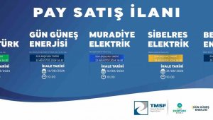 Yenilenebilir enerjide dev satış: TMSF enerji şirketlerini ihaleye çıkardı