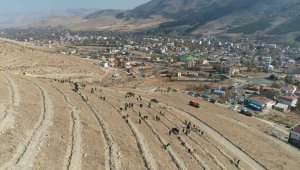 Yahyalı'da binlerce fidan toprakla buluştu