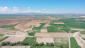 Başkan Çolakbayrakdar, Kayseri'nin tarımsal başarısının mimarlarına teşekkür etti