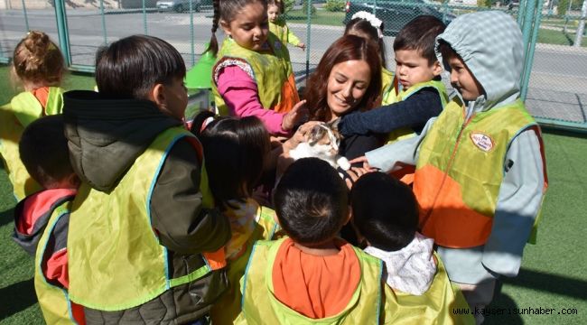 Kayseri'de ilk olan Küçük Dostlar Kedi Kasabası'na rekor ziyaret