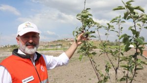 Kocasinan'da yeni kadın girişimci kooperatifi kuruldu