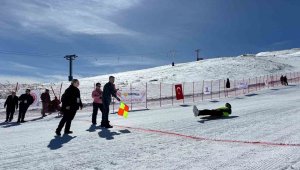 Geleneksel Kızak Türkiye Şampiyonası, Erciyes Kayak Merkezi'nde yapıldı
