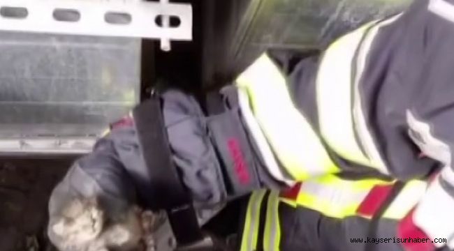 Havalandırma boşluğuna düşen kedinin yardımına itfaiye koştu