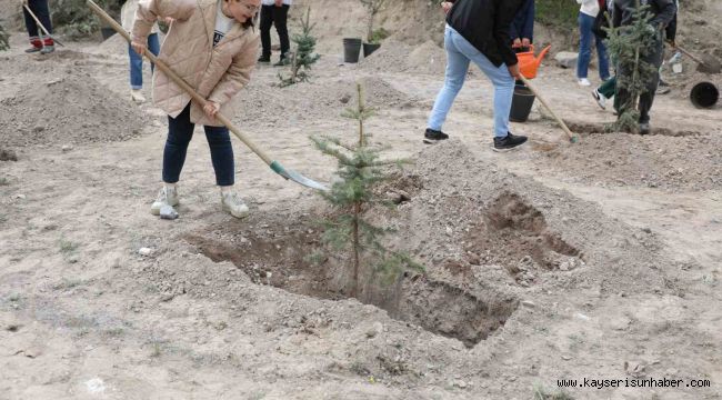 Melikgazi'nin yeşil dokusu güçleniyor