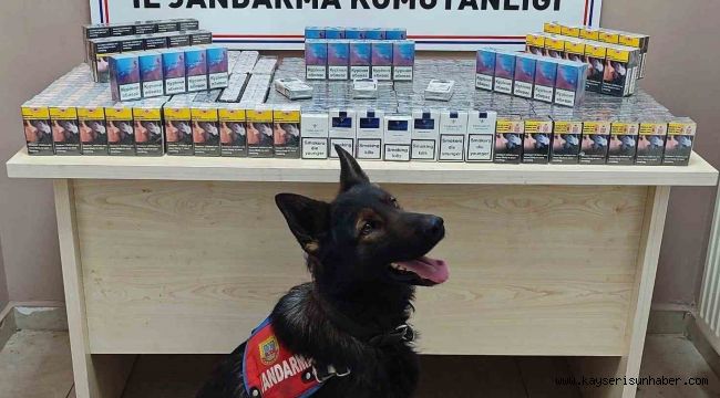 Sigara kaçakçıları jandarmadan kaçamadı