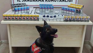 Sigara kaçakçıları jandarmadan kaçamadı