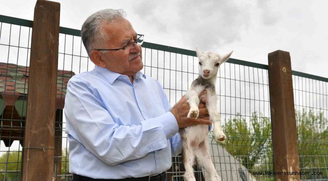 Başkan Büyükkılıç, hayvanat bahçesini ziyaret etti
