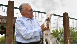Başkan Büyükkılıç, hayvanat bahçesini ziyaret etti