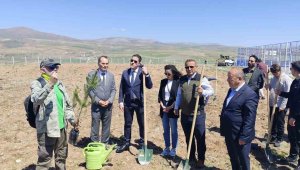 Büyükşehir, Pınarbaşı'daki eğitim yuvasına 2 bin 500 fidan dikti
