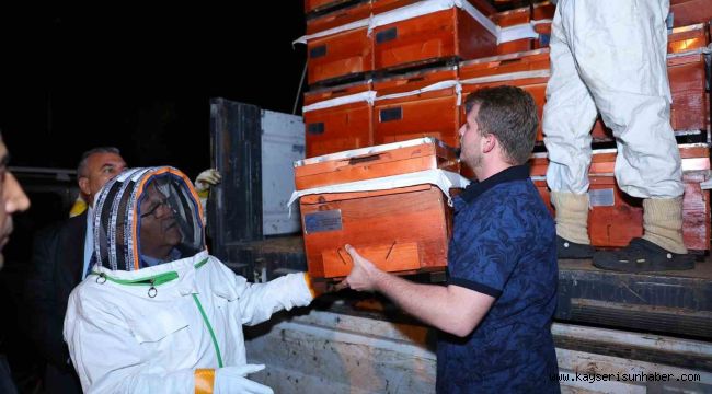 Büyükşehir, tescilli bal üreticilerine 60 adet damızlık ana arı desteği verdi