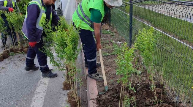 Büyükşehirden 'doğa dostu' hizmetler