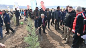Büyükşehirden 6 yılda 750 bin fidan ile Kayseri'ye 'yeşil' katkı
