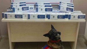Kayseri'de bin 400 paket kaçak sigara yakalandı