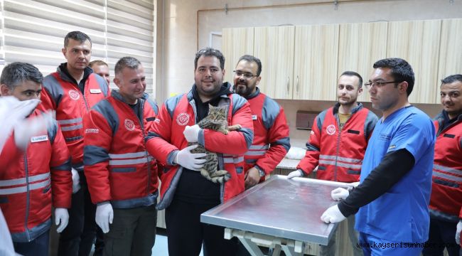 Kocasinan Belediyesi'nden veterinerlik personeline sertifikalı eğitim