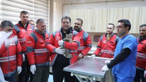 Kocasinan Belediyesi'nden veterinerlik personeline sertifikalı eğitim