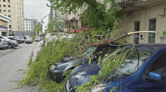 Rüzgarda kırılan ağaç dalı otomobillerin üzerine düştü