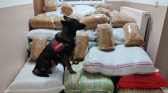 Yolcu otobüsünde 1 buçuk ton kaçak tütün yakalandı