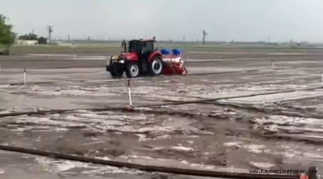 Dolu yağışı ekili alanlara zarar verdi