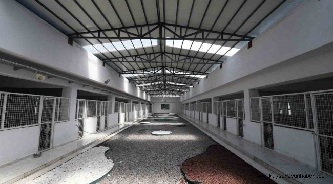 Kayseri'de 500 hayvan kapasiteli yeni bir barınak inşa ediliyor