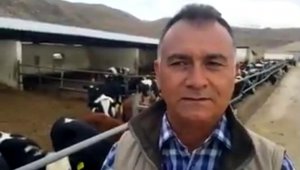 Kayseri'de günlük 500 ton süt üretiliyor