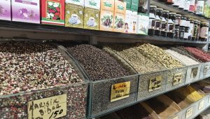 Ter kokusuna bitkisel çözüm