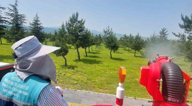 Yeşil alanlarda ilaçlama çalışması sürüyor