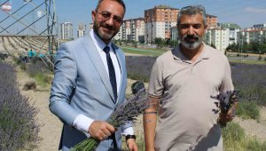 Çiftçilere örnek olması için ekilen lavantanın 4. hasadı yapıldı
