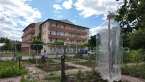 Huzurevi'ndeki yaşlı çınarlar; hobi bahçesi ile toprakları yeşertiyor