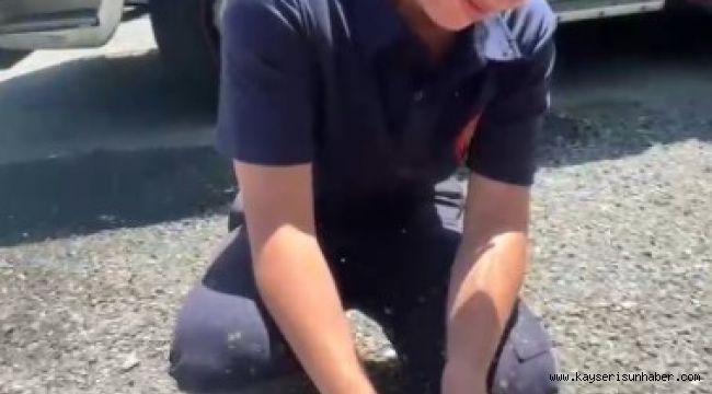 Yangında mahsur kalan kaplumbağaya itfaiyeden yardım eli