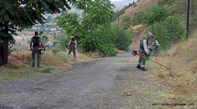 Ali Dağı'nda yangına karşı üst düzey önlem