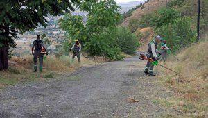 Ali Dağı'nda yangına karşı üst düzey önlem