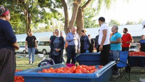 Melikgazi'de Salça günleri devam ediyor