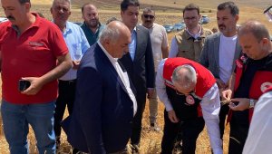 Okandan: "AK Parti olarak her zaman üreticimizin ve çiftçimizin yanındayız"