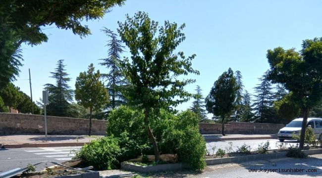 Otomobil takla attı: 1 yaralı