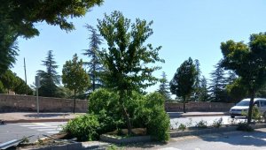 Otomobil takla attı: 1 yaralı