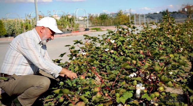 Başkan Çolakbayrakdar: "Türkiye'nin en kapsamlı fidanlığıyla Kayseri'nin yeşil dokusu zenginleşiyor"