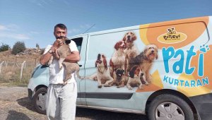 Belediye ekipleri nefes kesen operasyonla yavru köpeği kurtardı