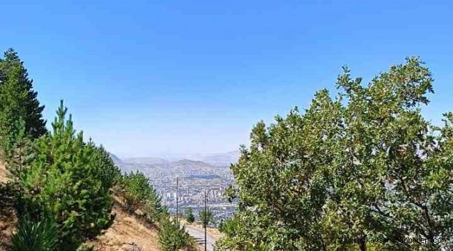 ERÜ öğrencileri hem zirve tırmanışı hem çevre temizliği yaptı